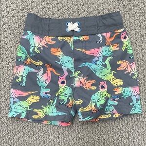 Colorful Dinosaur Print Swim Shorts -18 month